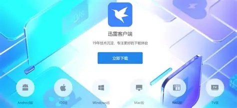 迅雷 云加速